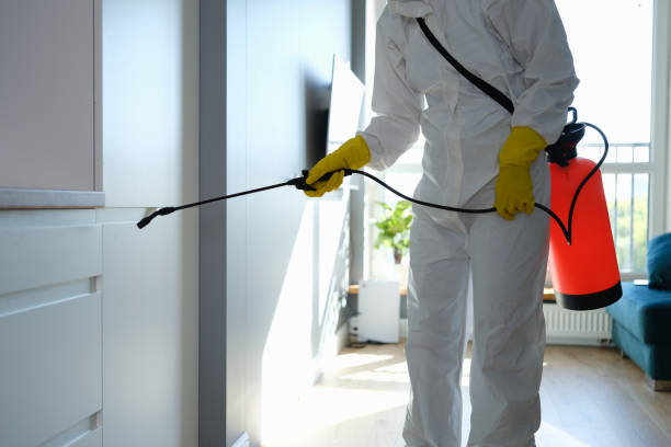 Best Toxic Mold Removal  in Independence, IA